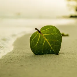 mindfullness