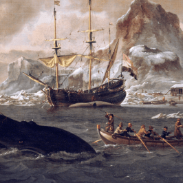 Phishing Whalers